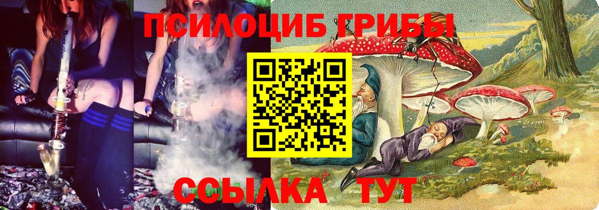 Медногорск  Галлюциногенные грибы Magic Shrooms  Вход с VPN 