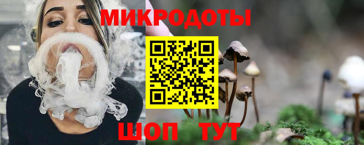 Галлюциногенные грибы мухоморы Медногорск